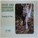 David And Marianne Dalmour - Thinking Of You...